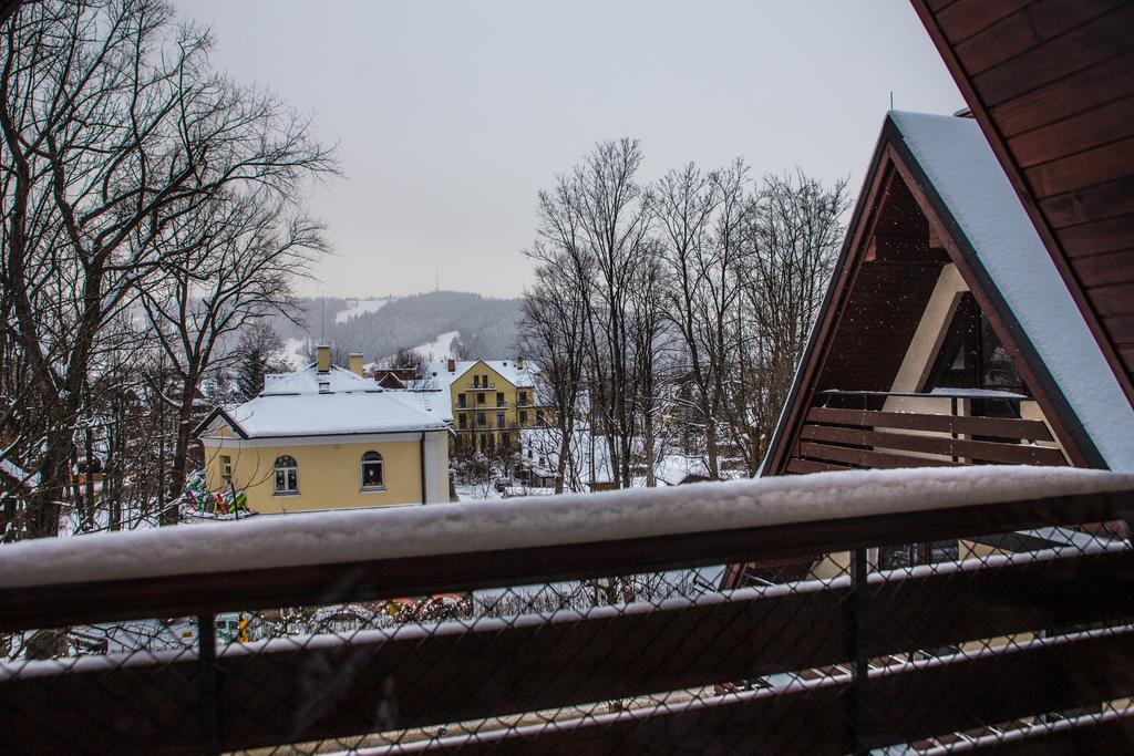 Zacisza Tetmajera Apartman Zakopane Kültér fotó